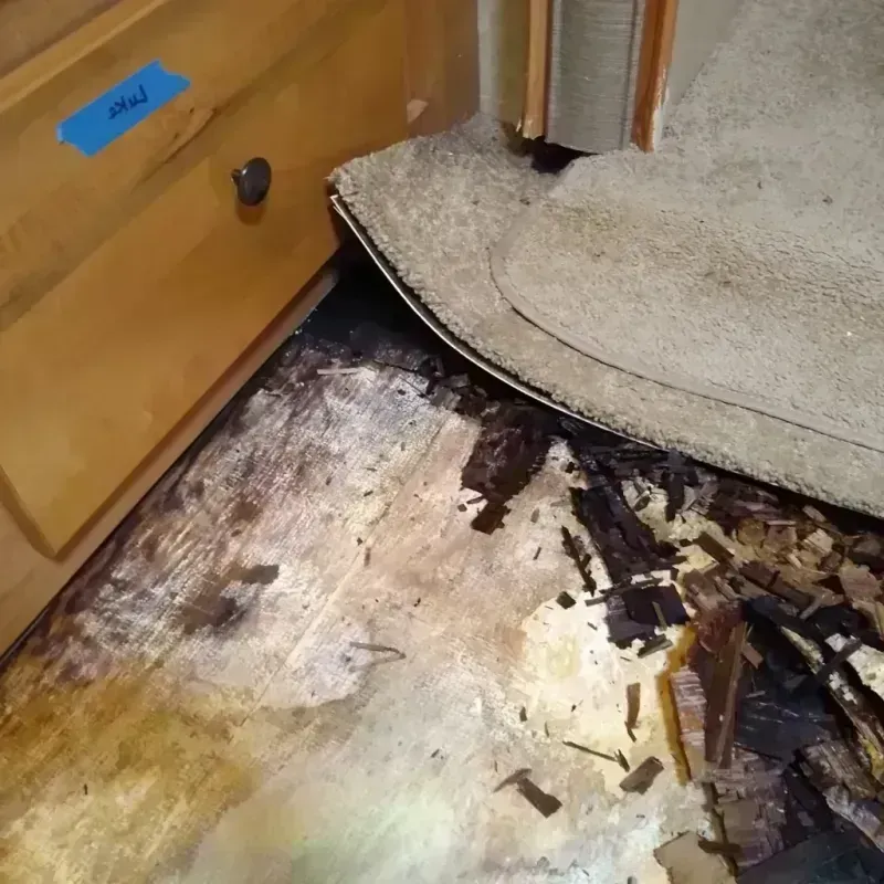 Wood Floor Water Damage in Bogata, TX